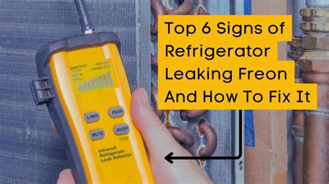 freon leaking from fridge|Five Signs Your Refrigerator is Leaking Freon